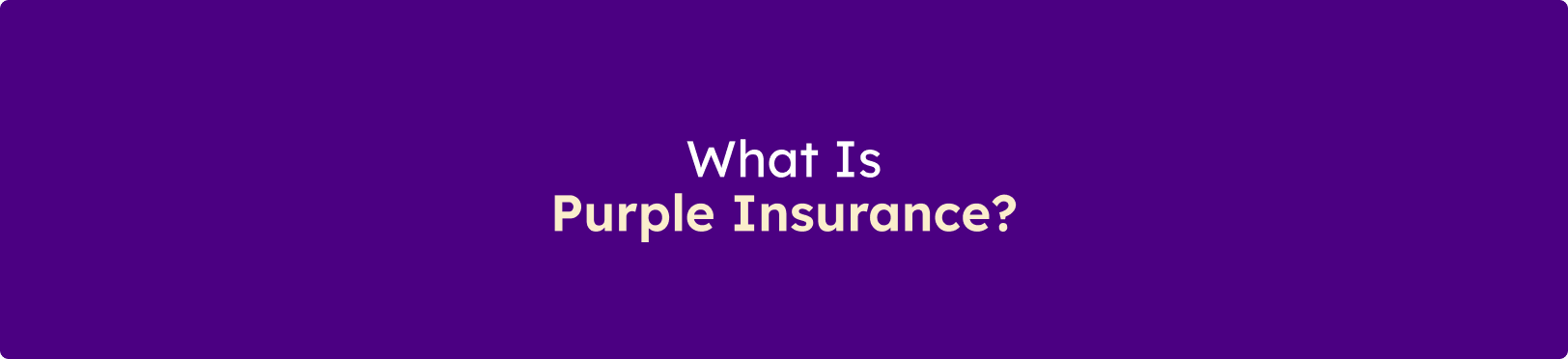 Banner displaying the message "What Is Purple Insurance?" on a purple background.